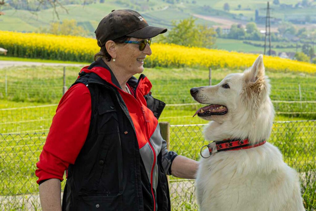 Hundeschule-6 Pfoten Harmonie-91